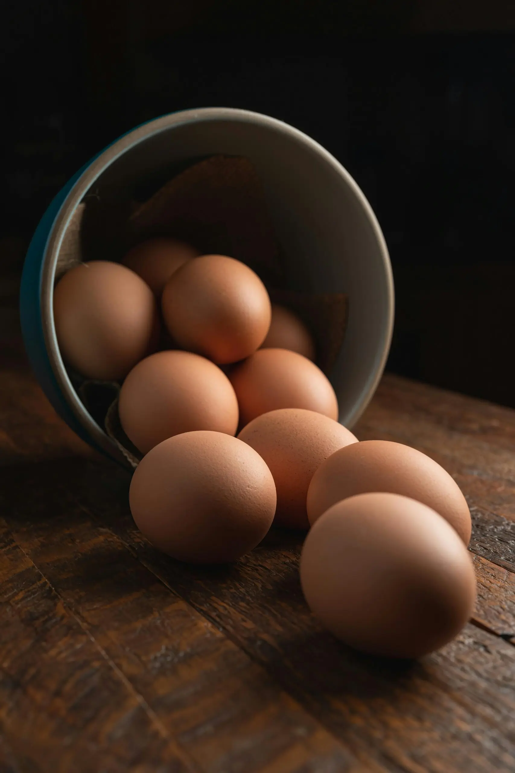 Farm fresh eggs from The Little Chicken Farm in Boddington