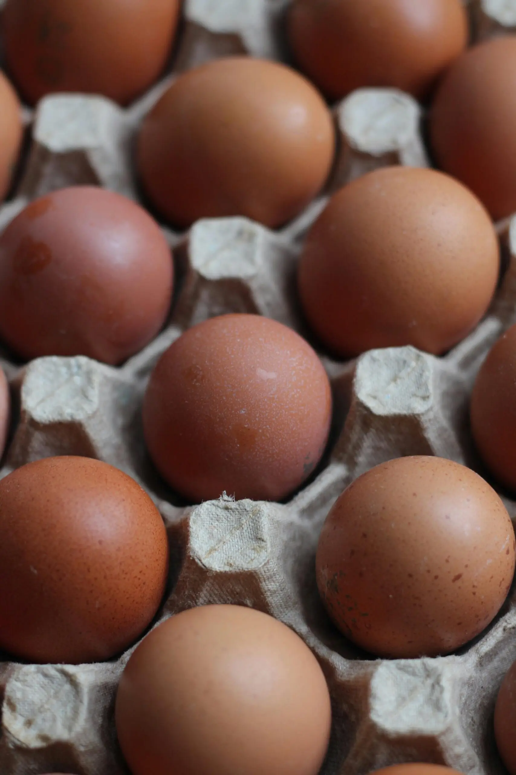 Close-up of a carton of free-range eggs