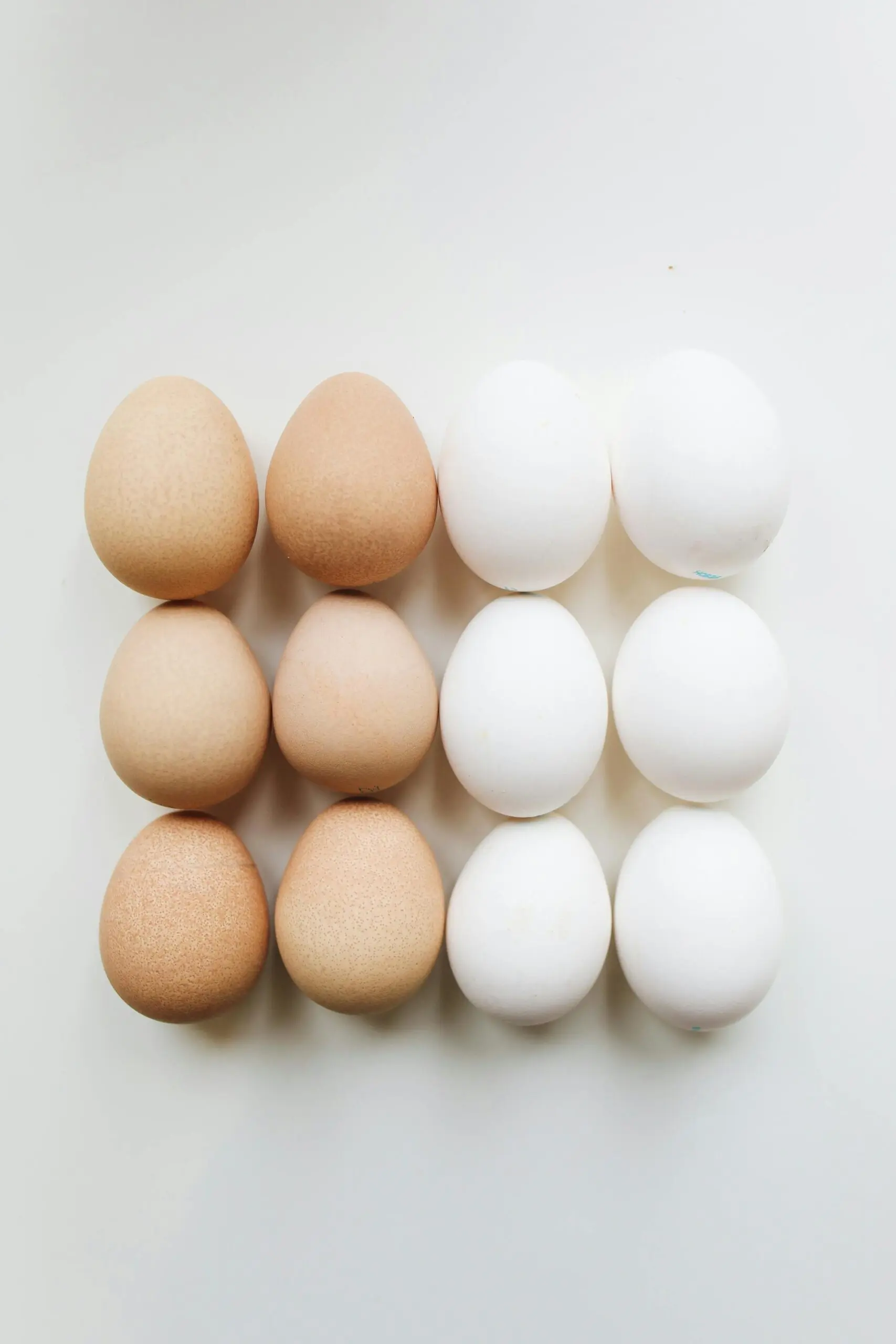 Pasture-raised eggs in mixed natural colours